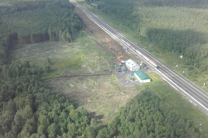 Ущерб при рубке леса оценивают в 1,4 миллиона рублей