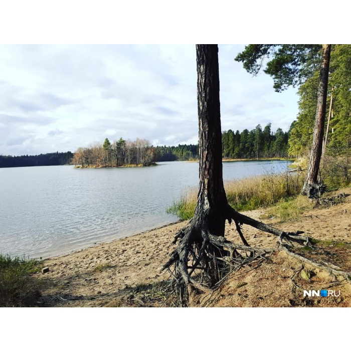 Горьковское море фото нижегородской области