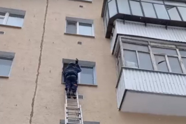 Жительница Кургана поблагодарила спасателей за помощь ее брату Жительница Кургана поблагодарила спасателей за помощь ее брату
