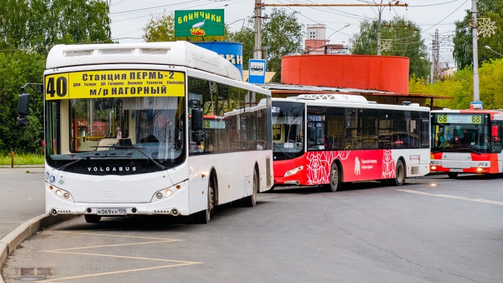 «Оставьте 68-й автобус, хватит экспериментов!»: пермяки высказались против изменения маршрутов