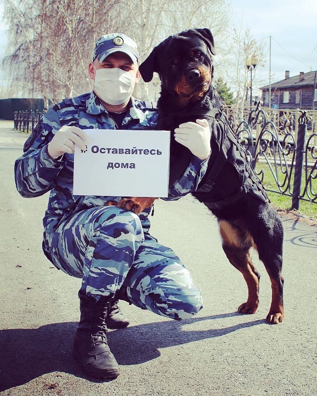 А вы соблюдаете режим самоизоляции? Ответами делитесь в комментариях А вы соблюдаете режим самоизоляции? Ответами делитесь в комментариях