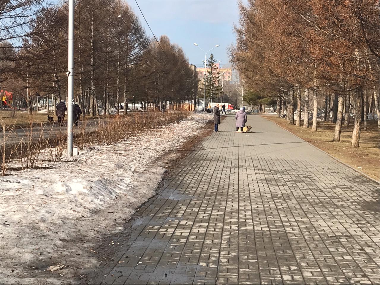 «В Троицком сквере теперь идеально гулять с собакой. На главной аллее одни собачники», — пишет наша читательница «В Троицком сквере теперь идеально гулять с собакой. На главной аллее одни собачники», — пишет наша читательница 
