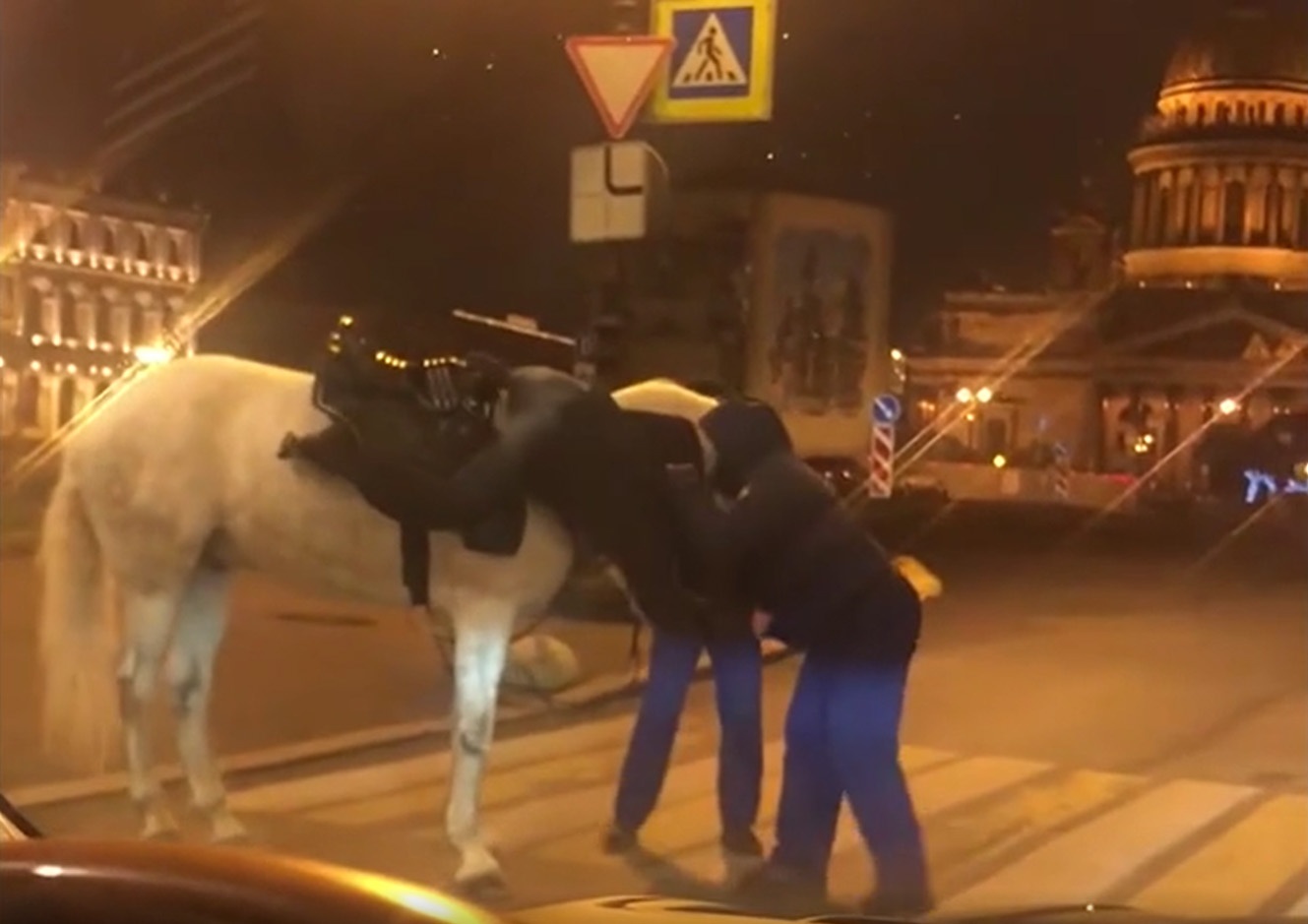 Разборки петербурга. Кони в центре Питера. Лошадь откусила нос Петербург.