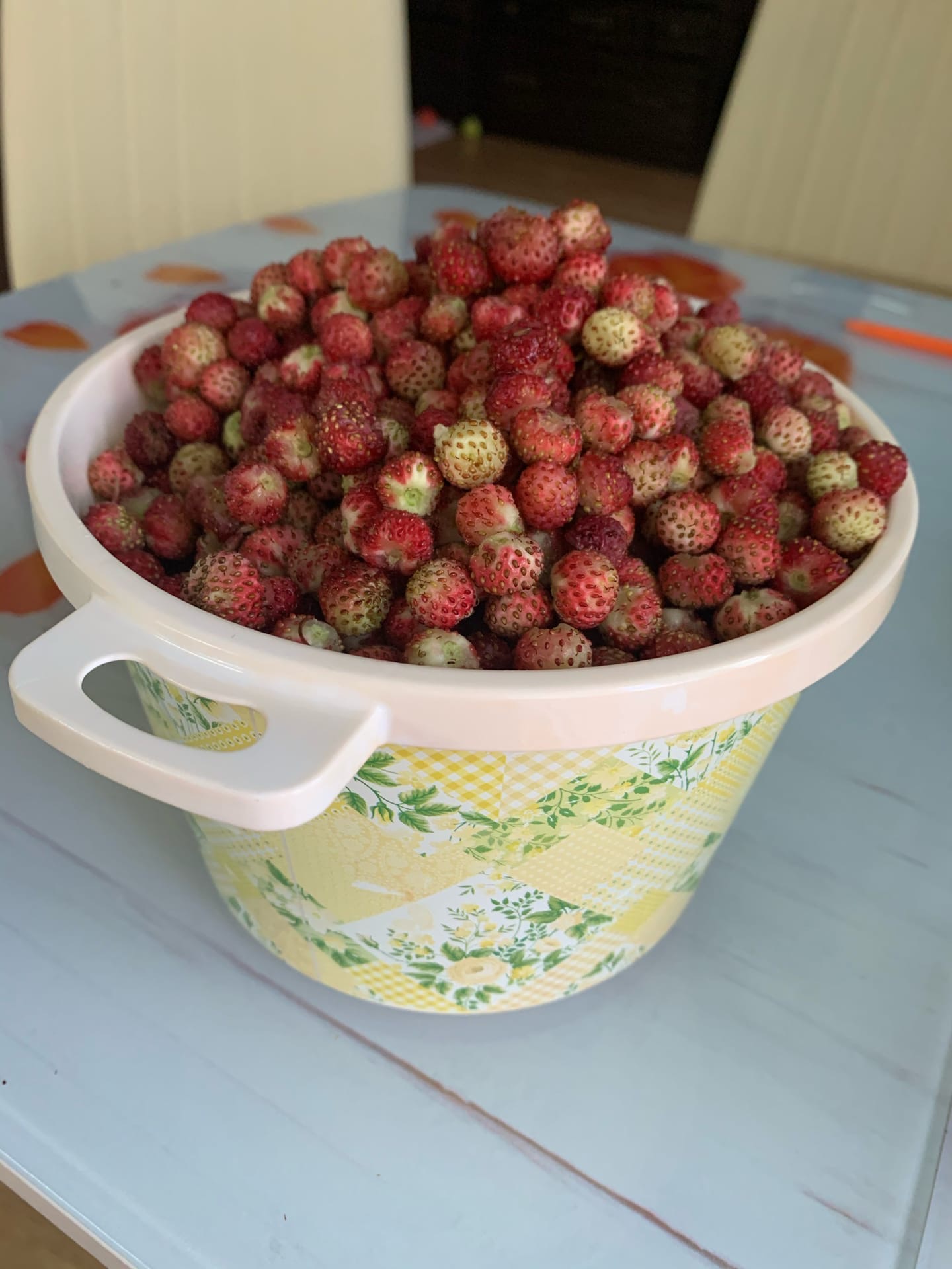 Лесная клубника и немного земляники из Белоярского района Лесная клубника и немного земляники из Белоярского района