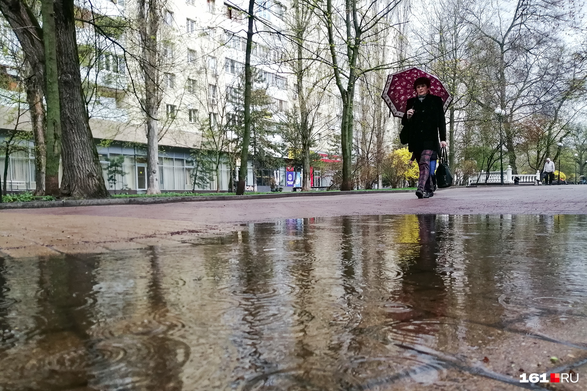 Осадки ростов. Дождливая Весна. Город весной. Дождливая Весна в Ростове на Дону. Март в городе.