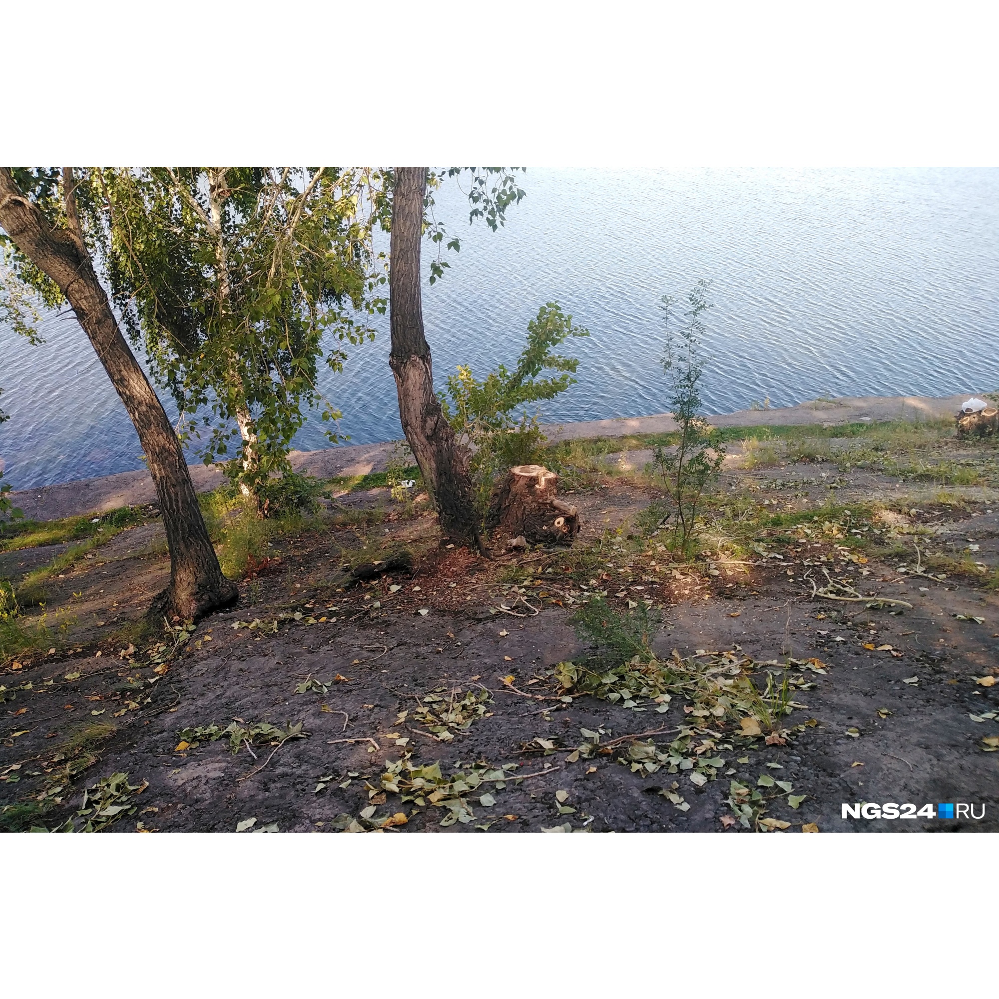 С одной стороны дамба покрыта слоем бетона, сквозь бетон проросли деревья С одной стороны дамба покрыта слоем бетона, сквозь бетон проросли деревья