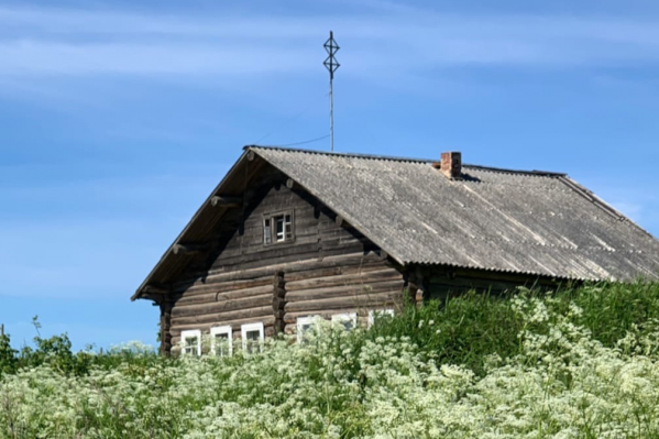 Пинежская изба Пинежская изба