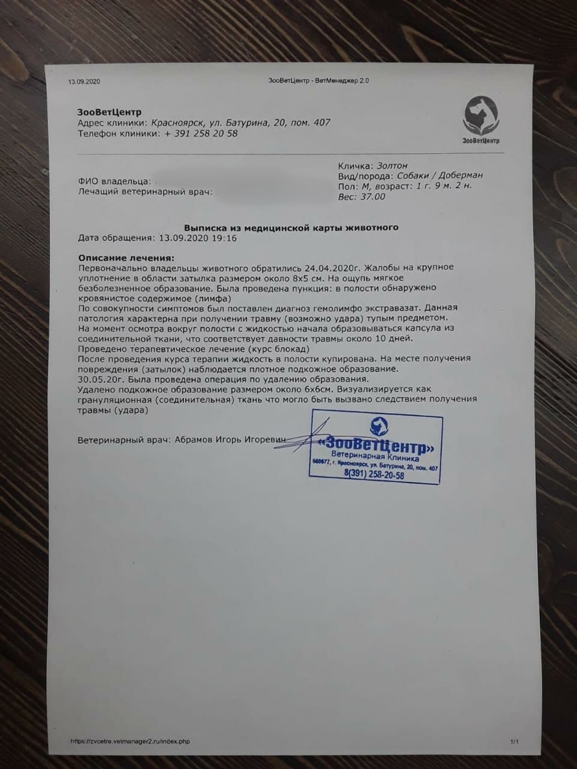 В мае Золтону провели операцию по удалению подкожного образования, до этого собаке пришлось пройти целый курс лечения В мае Золтону провели операцию по удалению подкожного образования, до этого собаке пришлось пройти целый курс лечения