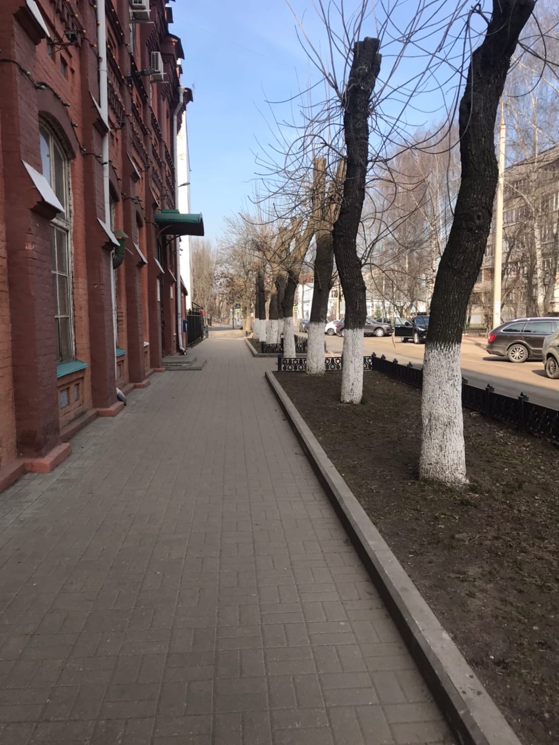 Все это ради нашего блага Все это ради нашего блага