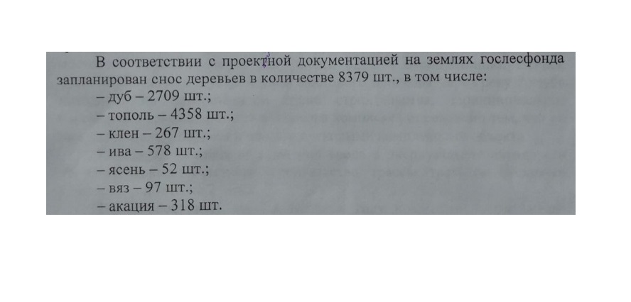 Всё это планируют вырубить Всё это планируют вырубить