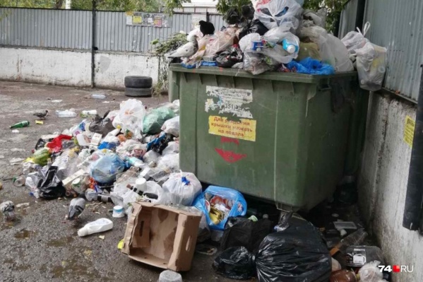 Во дворах в разных районах Челябинска накопились горы отходов Во дворах в разных районах Челябинска накопились горы отходов