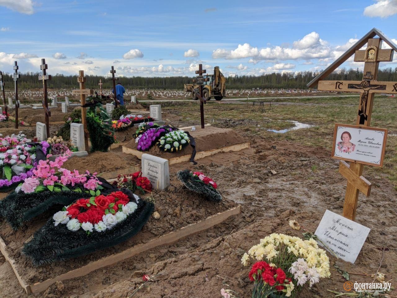 Новое кладбище в Колпино, май 2020 года<br><br>автор фото Павел Каравашкин / «Фонтанка.ру»