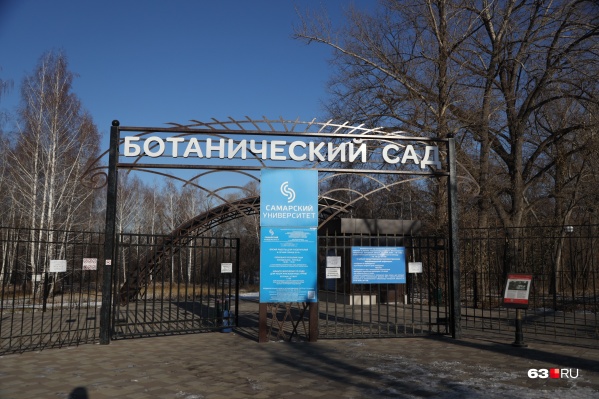До начала зимы у самарцев есть возможность погулять по территории сада бесплатно в будние дни До начала зимы у самарцев есть возможность погулять по территории сада бесплатно в будние дни