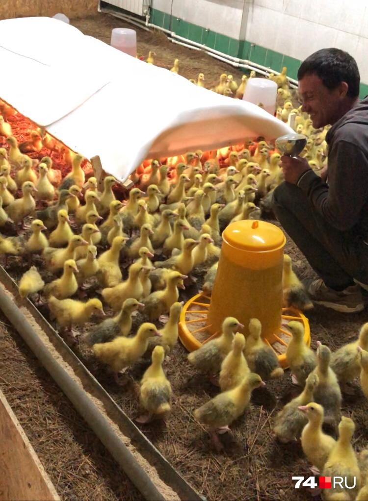 2c05571f23281f028ddc5c08e4ee5b4519a0bb17