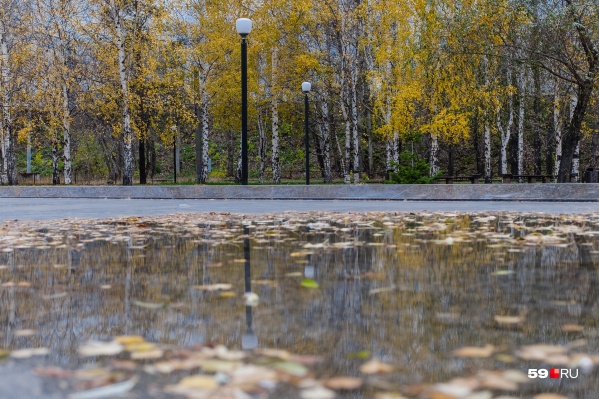 В ближайшие дни будет холодно В ближайшие дни будет холодно