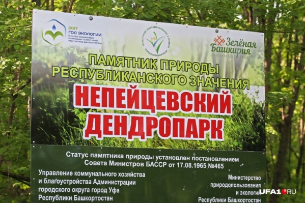 В эту субботу в 9:00 пройдет субботник В эту субботу в 9:00 пройдет субботник