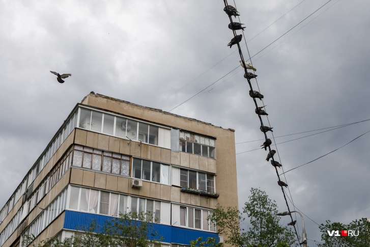 Смотрим, какая погода будет в Волгограде и области в ближайшие выходные Смотрим, какая погода будет в Волгограде и области в ближайшие выходные