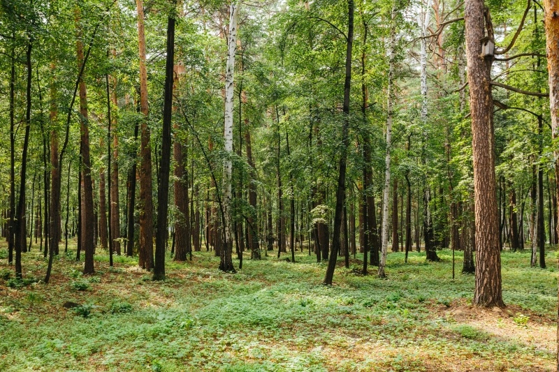 Большая территория курорта позволяет заниматься спортом на свежем воздухе, заводить новые знакомства и с пользой проводить время<br> Большая территория курорта позволяет заниматься спортом на свежем воздухе, заводить новые знакомства и с пользой проводить время<br>