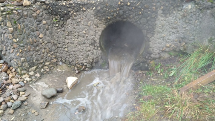 В реку Уинку в Саду соловьев сбросили грязную теплую воду. Что говорят активисты и ПСК