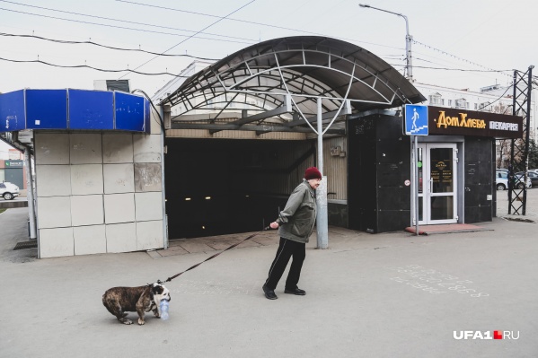 Гулять с собакой в это время тоже нельзя Гулять с собакой в это время тоже нельзя