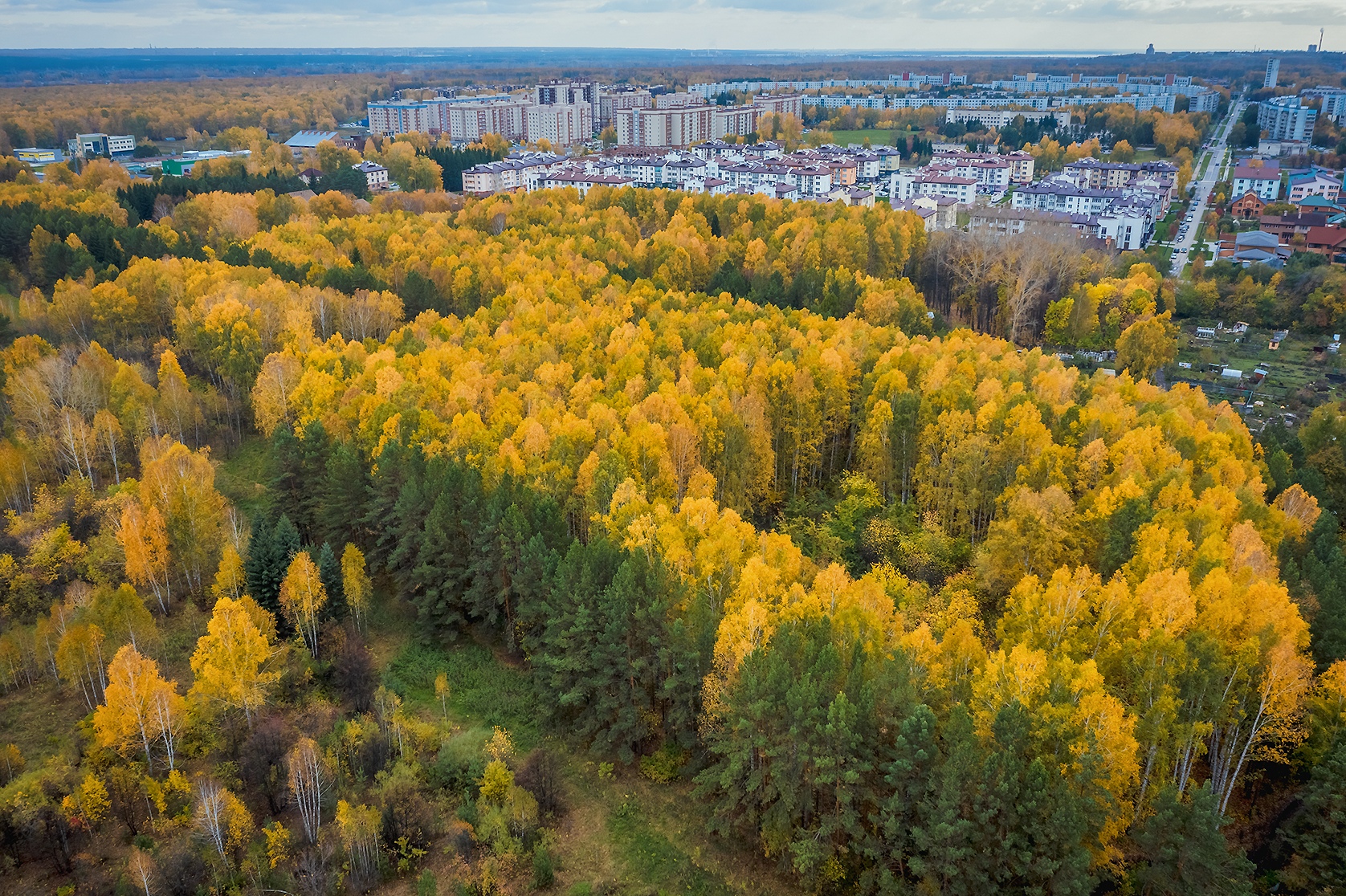 Краснообск новосибирская фото