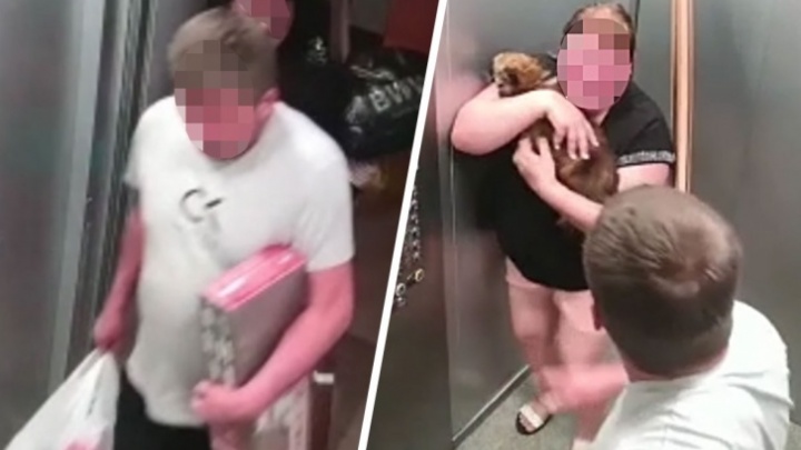 Собаку, которую жестко избили в лифте на Компрессорном, спасли волонтеры