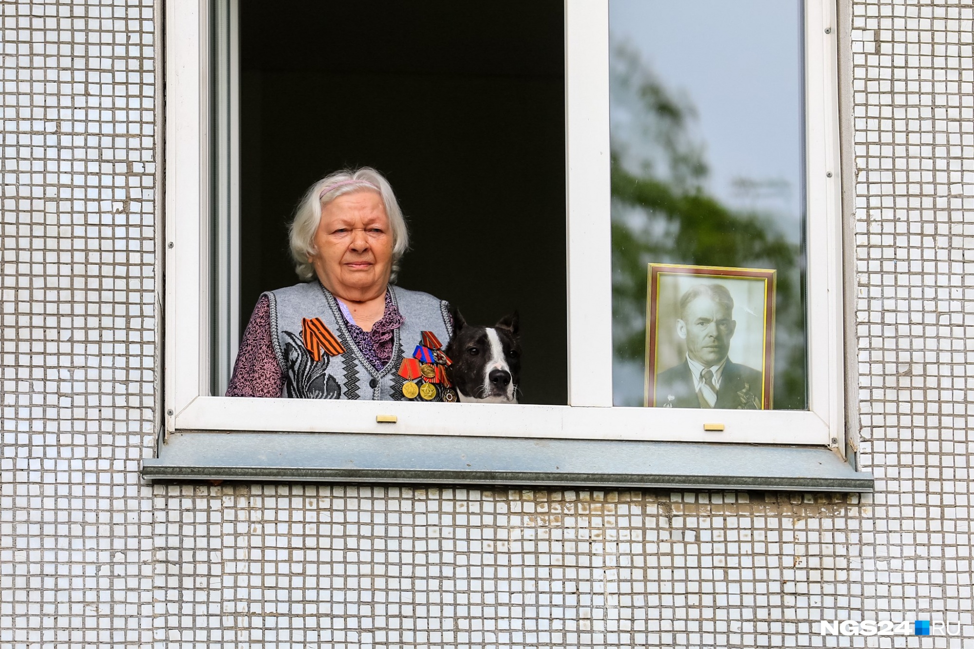 Это Красноярск. Ветераны застыли в окнах рядом с портретами своих родственников