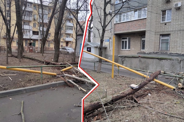 Ствол дерева упал прямо на трубу газопровода Ствол дерева упал прямо на трубу газопровода