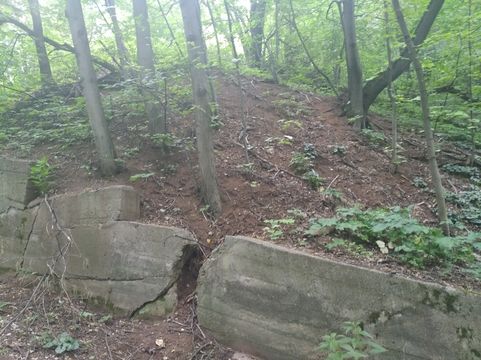 Подпорные стенки на склонах могут не выдержать масштабного благоустройства Подпорные стенки на склонах могут не выдержать масштабного благоустройства