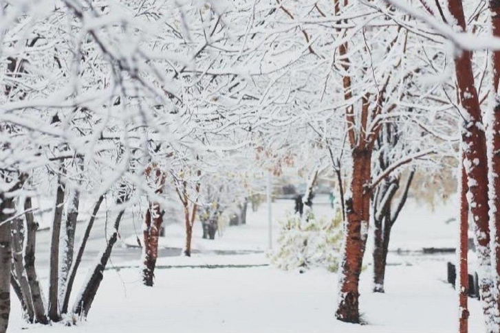 Все утро в Красноярске идет снег