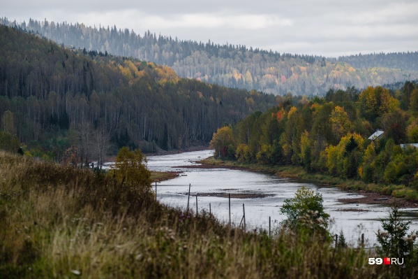Летом в Прикамье очень красиво, особенно — в заповедниках Летом в Прикамье очень красиво, особенно — в заповедниках