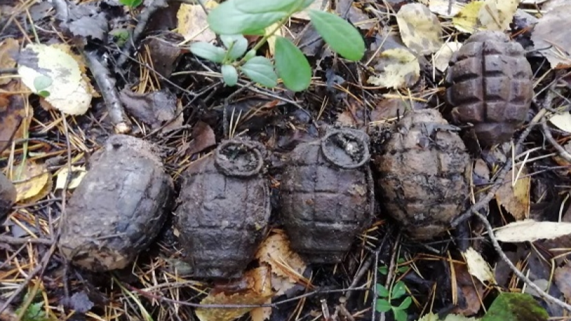 В Плесецком районе нашли шесть гранат времен Первой мировой войны
