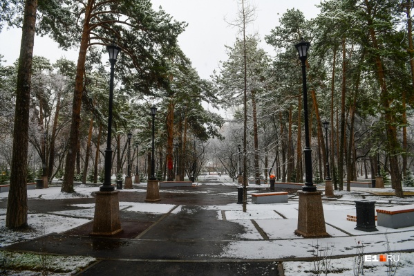 Фото зеленая роща екатеринбург