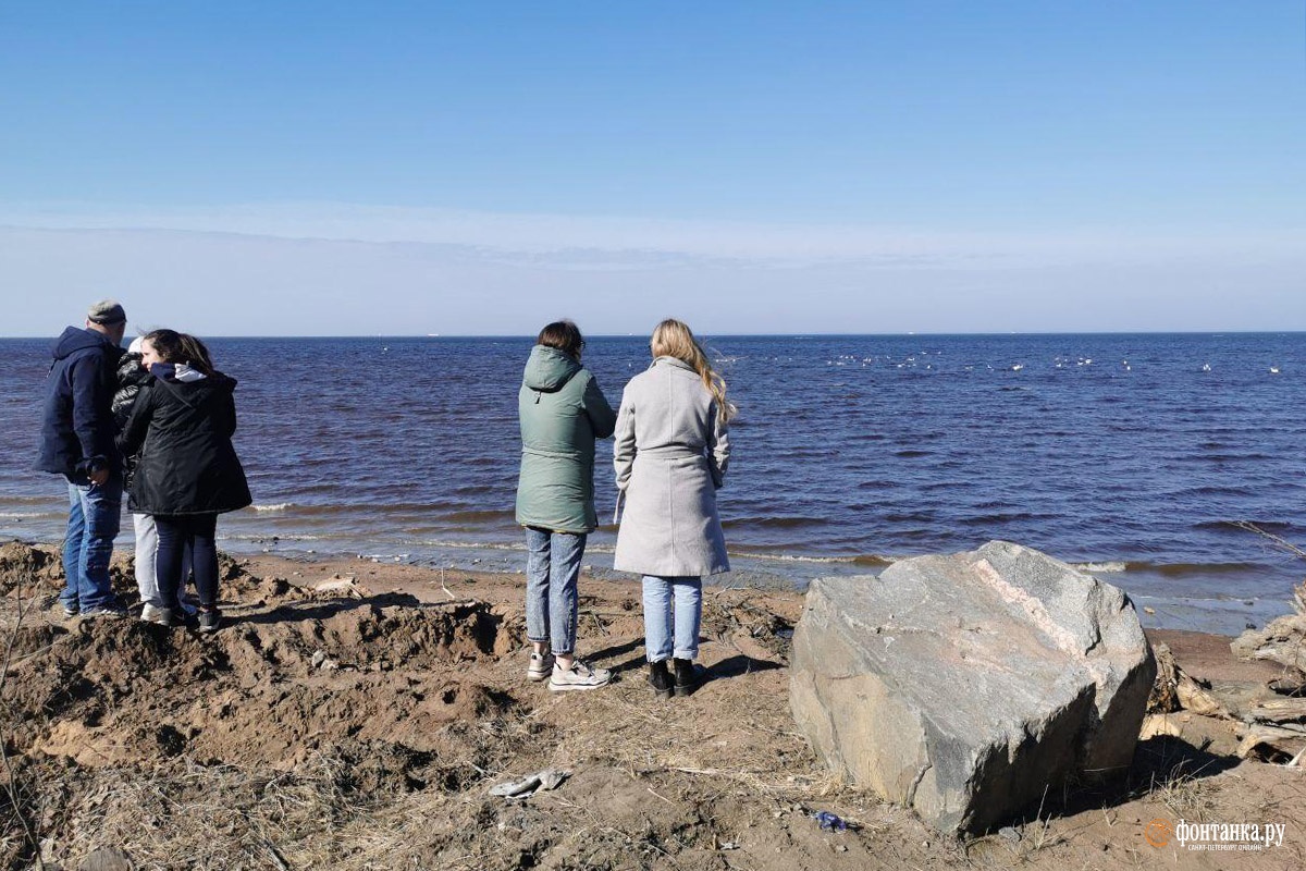 Побережье Финского залива в районе Большой Ижоры