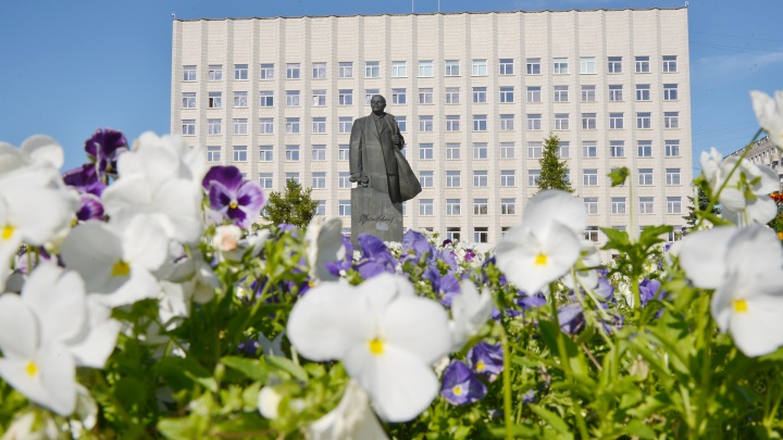 На однолетние цветы в Архангельске в 2022 году потратят более 3,7 миллиона рублей