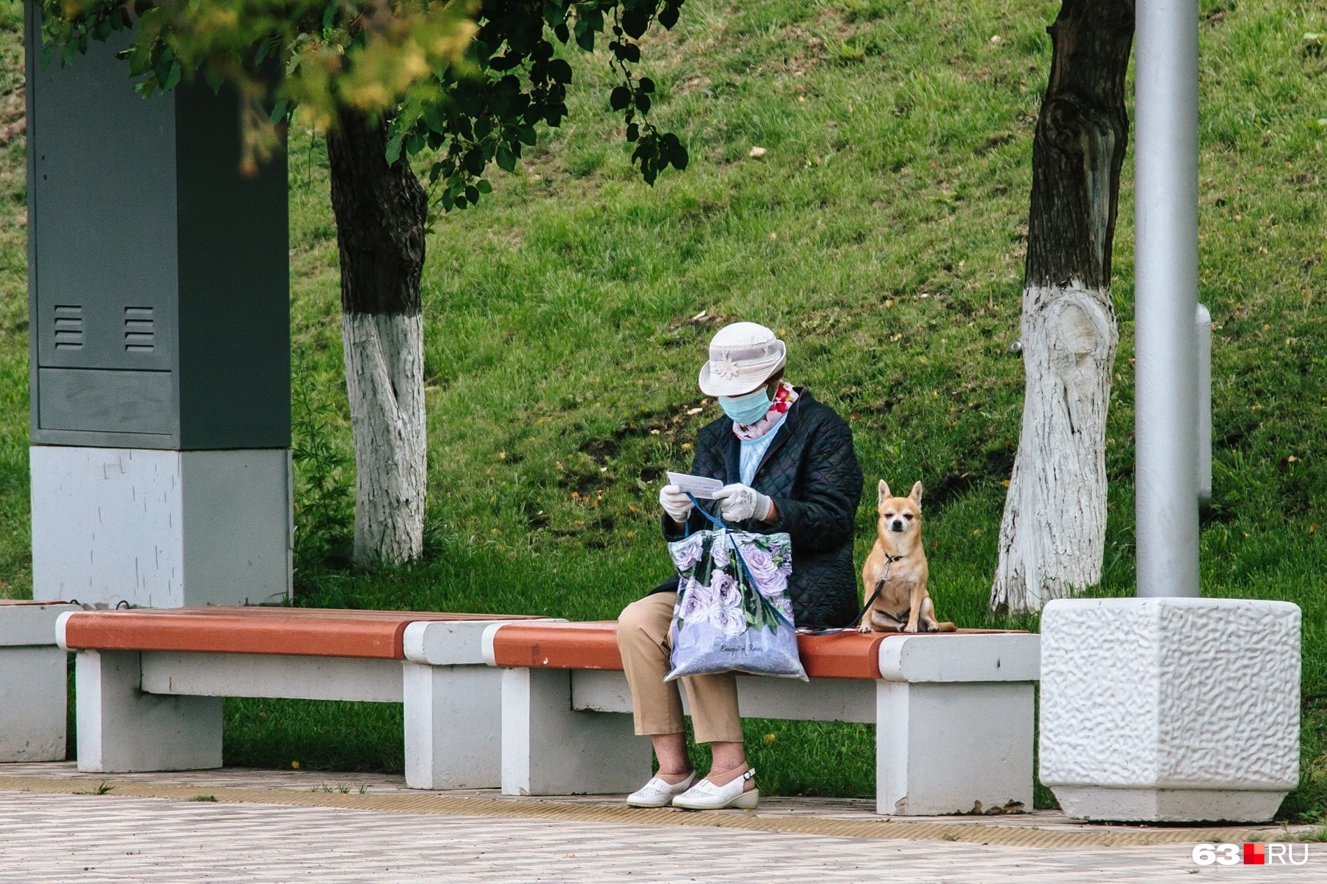 Собаководы стали особой кастой в этой пандемии: с животным можно было спокойно перемещаться по улицам Собаководы стали особой кастой в этой пандемии: с животным можно было спокойно перемещаться по улицам