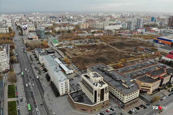 На участке уже вырубили деревья На участке уже вырубили деревья