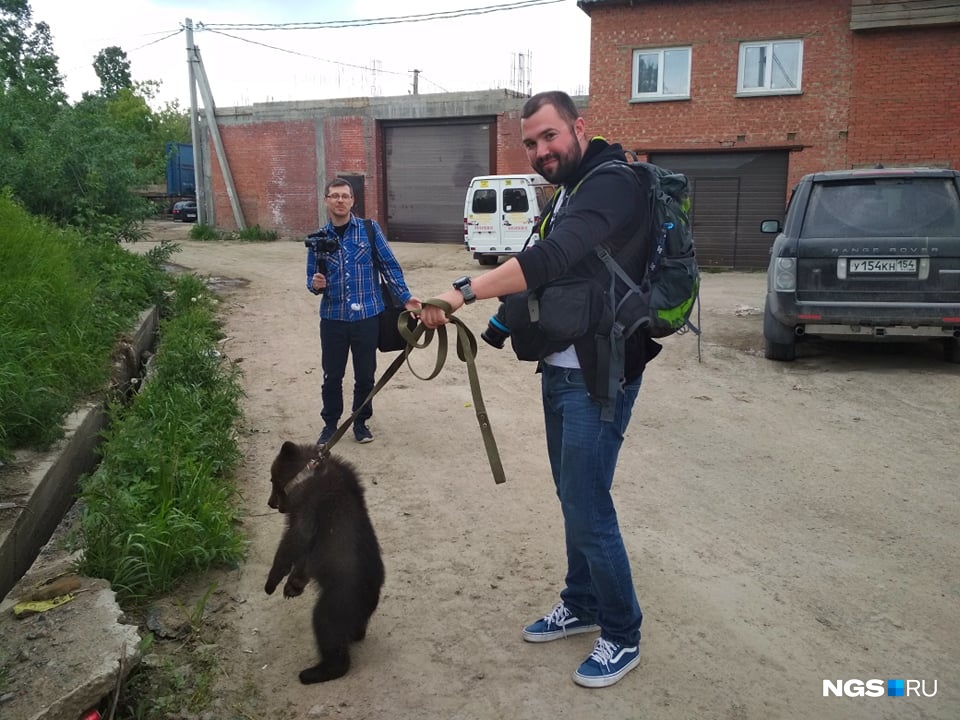 Журналист, фотокорреспондент и оператор НГС отправились в село Каменка, чтобы потом подготовить репортаж о медвежонке Мишке