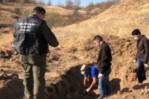 Останки нашли неподалеку от Миллерово Останки нашли неподалеку от Миллерово