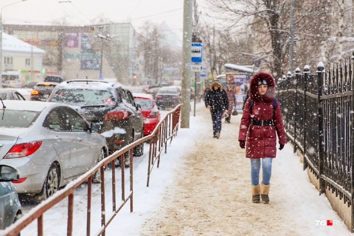 В этом году в Ярославле выдалась небывало тёплая зима