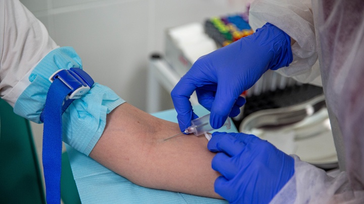 Коронавирусным больным в Новосибирске начали переливать плазму крови с антителами