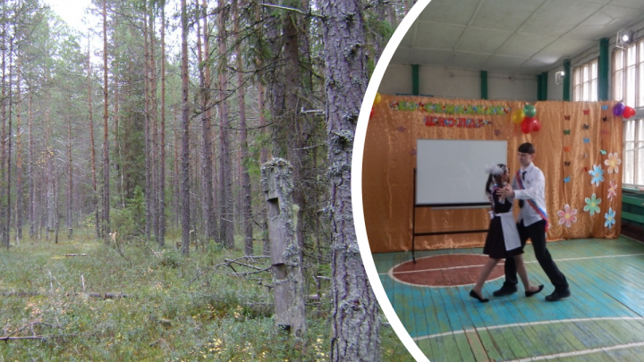 Делянка за двумя реками. Может ли школа в деревне Окуловской остаться без дров, как прошлой зимой