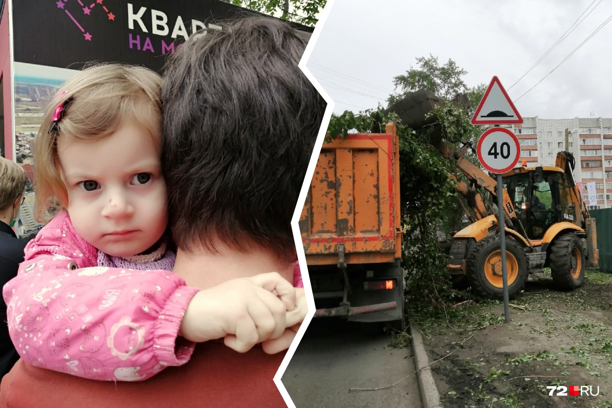 Тюменцы вышли с детьми, чтобы остановить вырубку деревьев