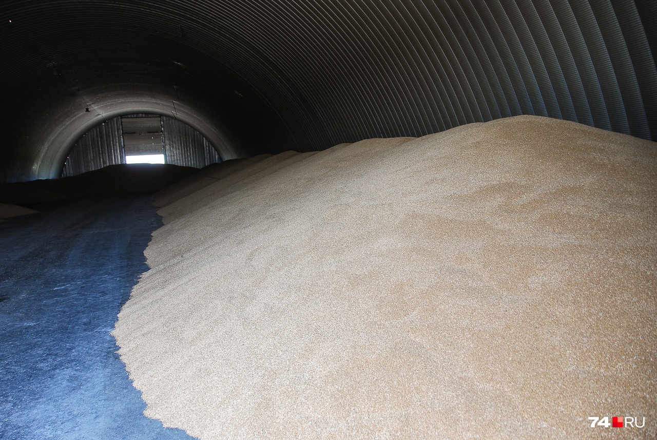 До запуска новых зернохранилищ продукт хранится в ангарах До запуска новых зернохранилищ продукт хранится в ангарах