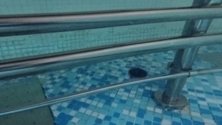 В Новосибирске завершилась экспертиза лавочки в аквапарке, где погиб кузбасский подросток