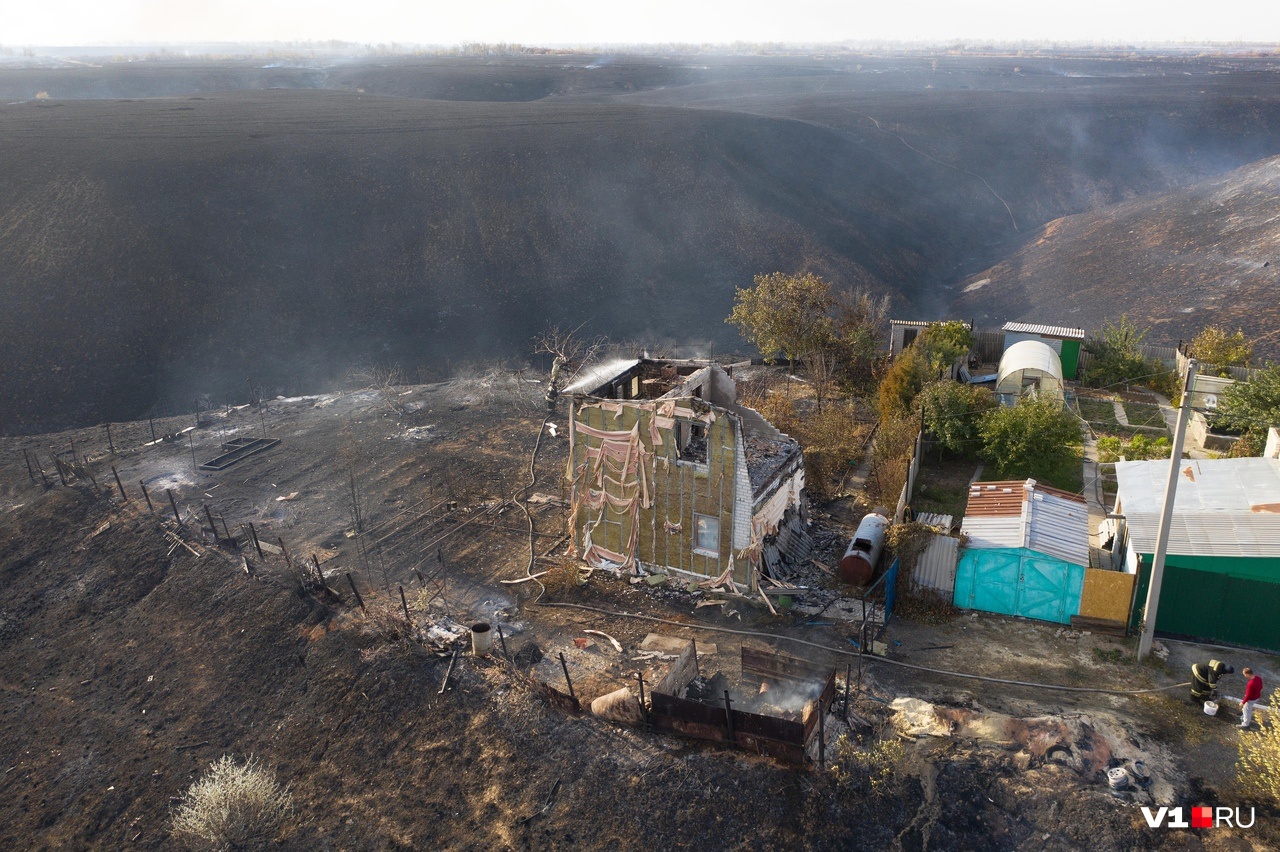 Леса горели в трех районах: в Волгоградской области назвали ущерб от вчерашних лесных пожаров