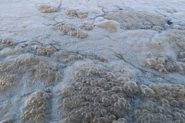 Пена и пузыри на поверхности воды Пена и пузыри на поверхности воды 