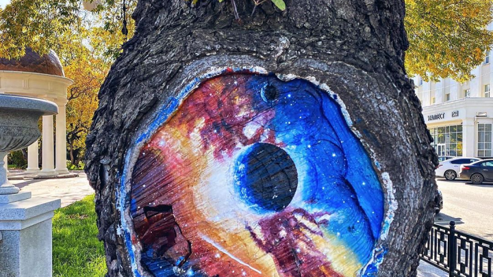 «Космос гораздо ближе, чем кажется»: художница из Екатеринбурга превратила деревья в галактические арт-объекты