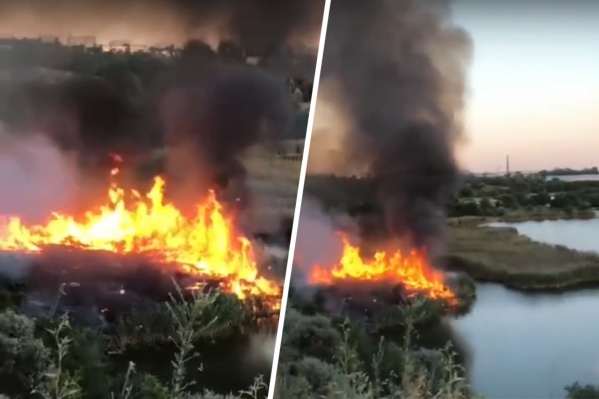 Дым видно из нескольких районов города Дым видно из нескольких районов города