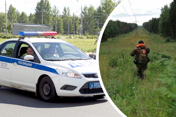 В Ярославской области за год пропадают десятки людей. К счастью, благодаря полиции и добровольцам, многие всё-таки находятся В Ярославской области за год пропадают десятки людей. К счастью, благодаря полиции и добровольцам, многие всё-таки находятся